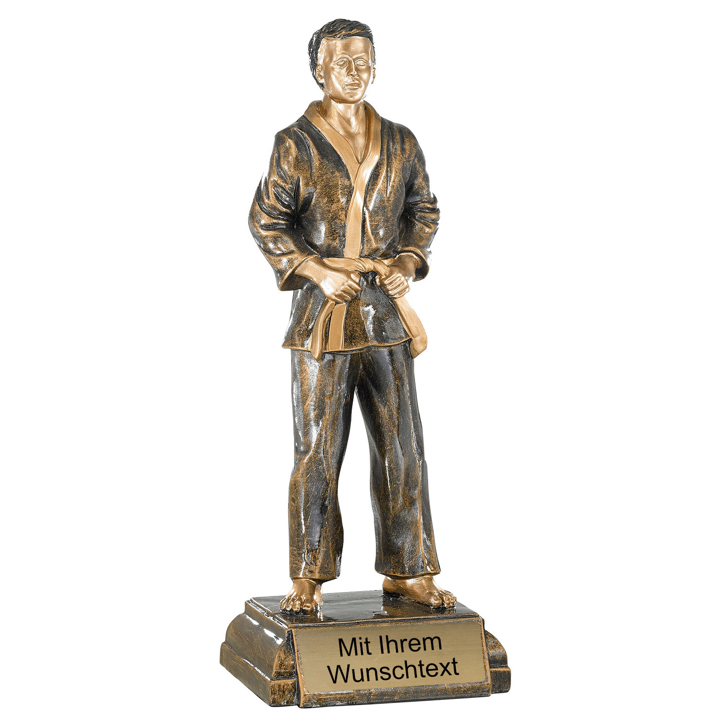 Produktbild von Trophäe Judoka FS20305 bronze