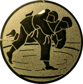 Emblem 25mm Judo, gold