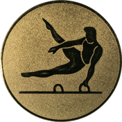 Emblem 25mm Pauschenpferd, gold