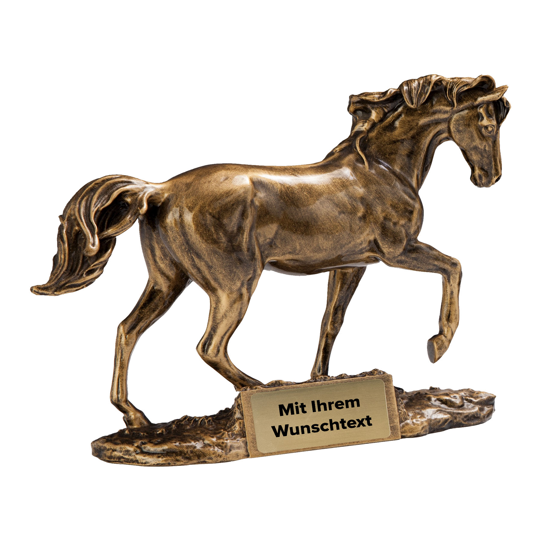 initial-product-image