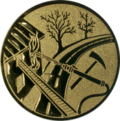 Emblem 25mm Feuerwehreisatz, gold