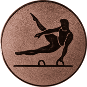 Emblem 25mm Pauschenpferd, bronze