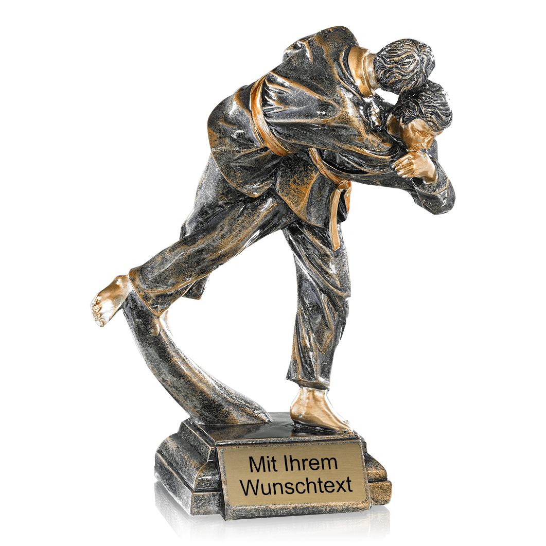 Produktbild von Trophäe Judo FS52529 bronze