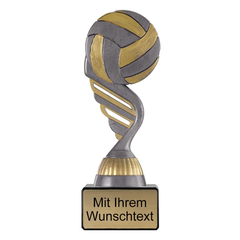 Produktbild von Volleyballpokal PF229 altsilber/gold