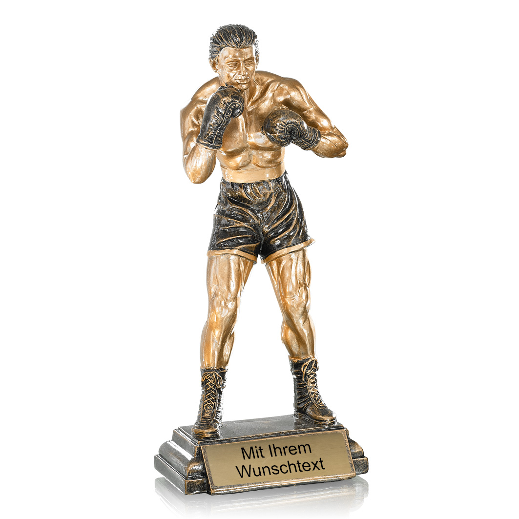 Produktbild von Trophäe Boxer FS52535 bronze