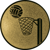 Emblem 25mm Basketball m. Korb, gold