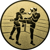 Emblem 25 mm 2 Kickboxer, gold