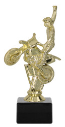 Motocrosspokal TRY-F180 gold 