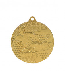 Medaille "Karate" Ø 50mm mit Band Gold