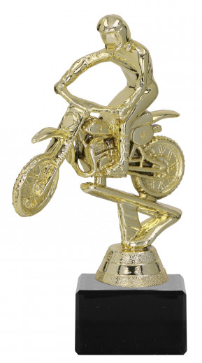 Motocrosspokal TRY-F244 gold