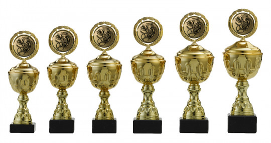 Gravur 6er Serie Pokale gold 23-28cm Für alle Sportarten Incl 